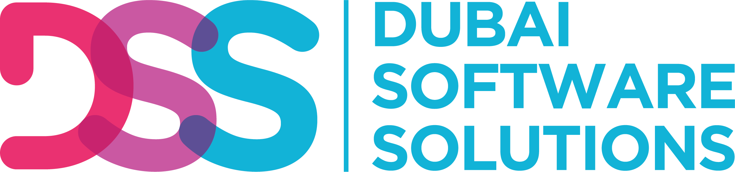 Dubai Software Solutions logo